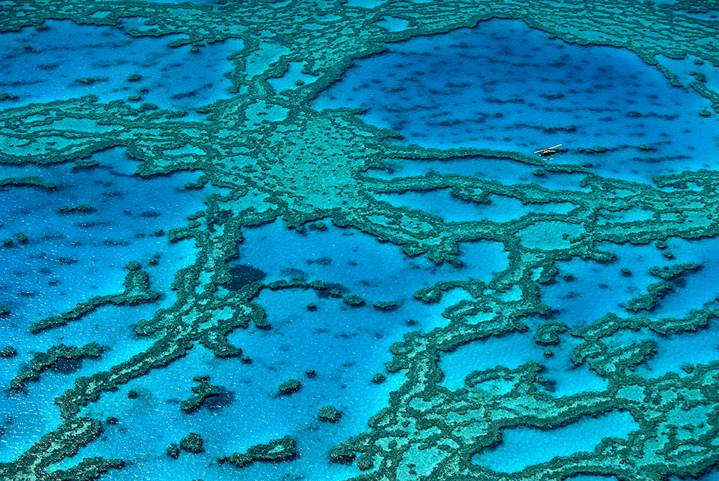 Great Barrier reef, Queensland, Australia.