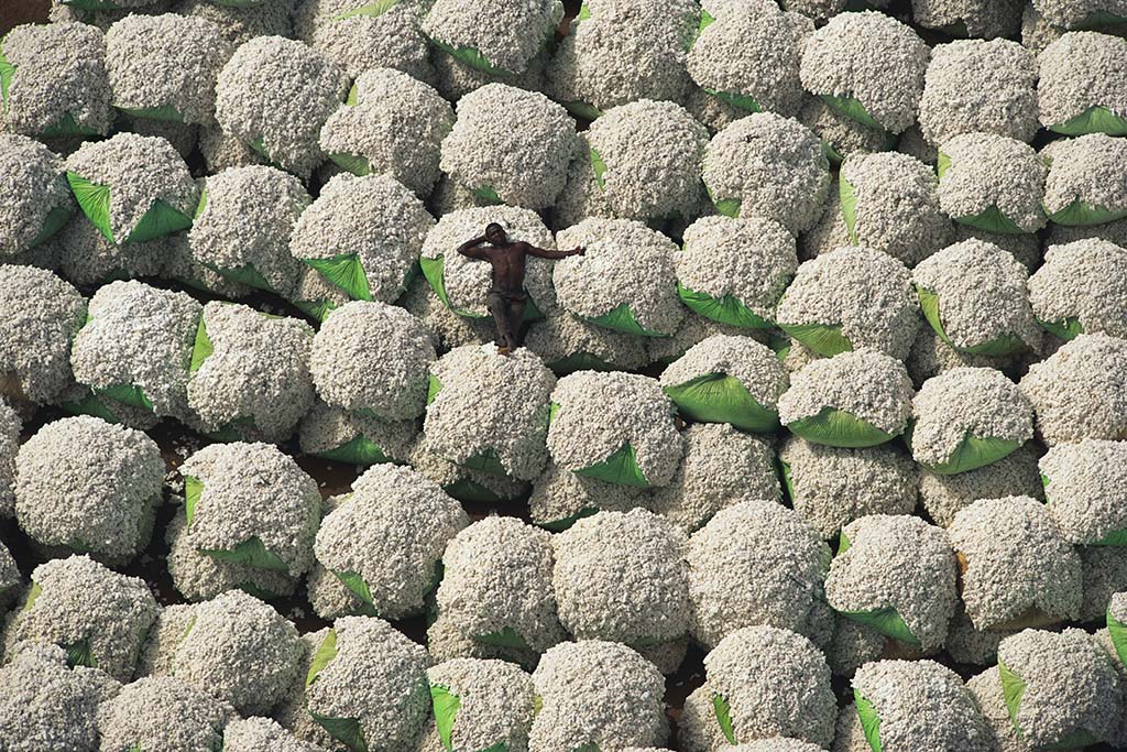 Worker resting on bales of cotton, Ivory Coast.